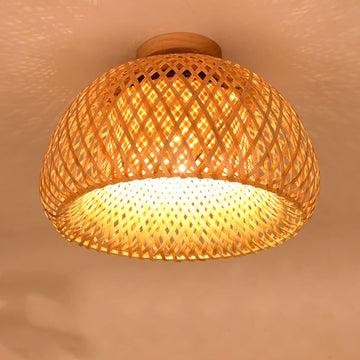 Modern Personality Ceiling Lamps
