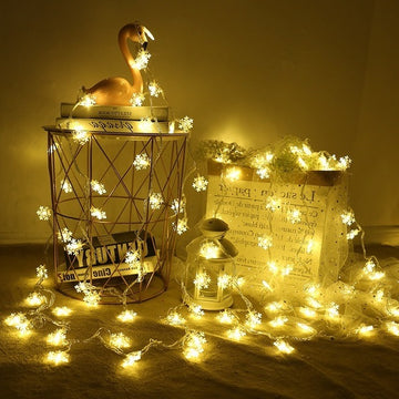 LED Lights