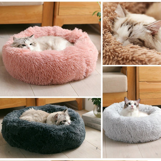 Pet Bed