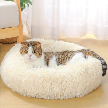Pet Bed